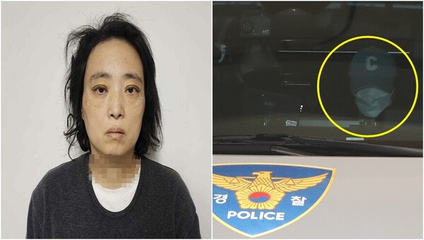 상대양과 이미지