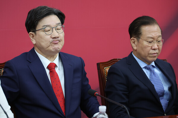 권성동 원내대표, 권영세 국민의힘 비상대책위원장. ⓒ뉴스1