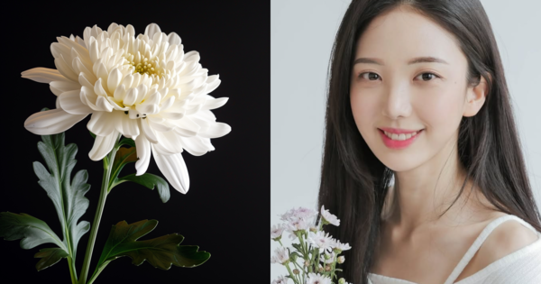 이례 이미지