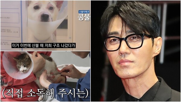 유기동물들을 위해 발 벗고 나선 차승원. ⓒ유튜브 채널 ‘티몬과품바X포캣멍GO’