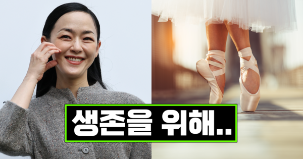 주식회사 푸른별여행 이미지
