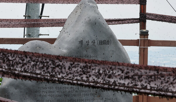 으어어어. ⓒ뉴스1