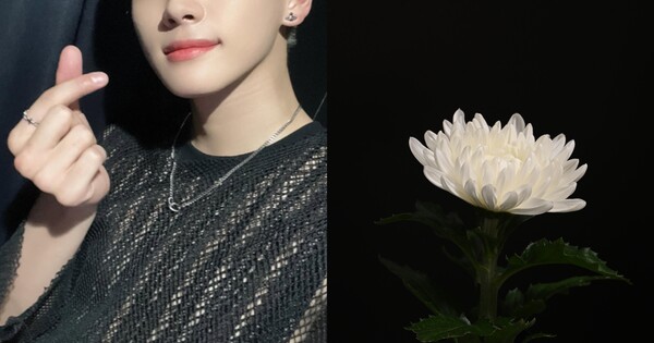 삼가 고인의 명복을 빕니다. ⓒSNS, 어도비스톡