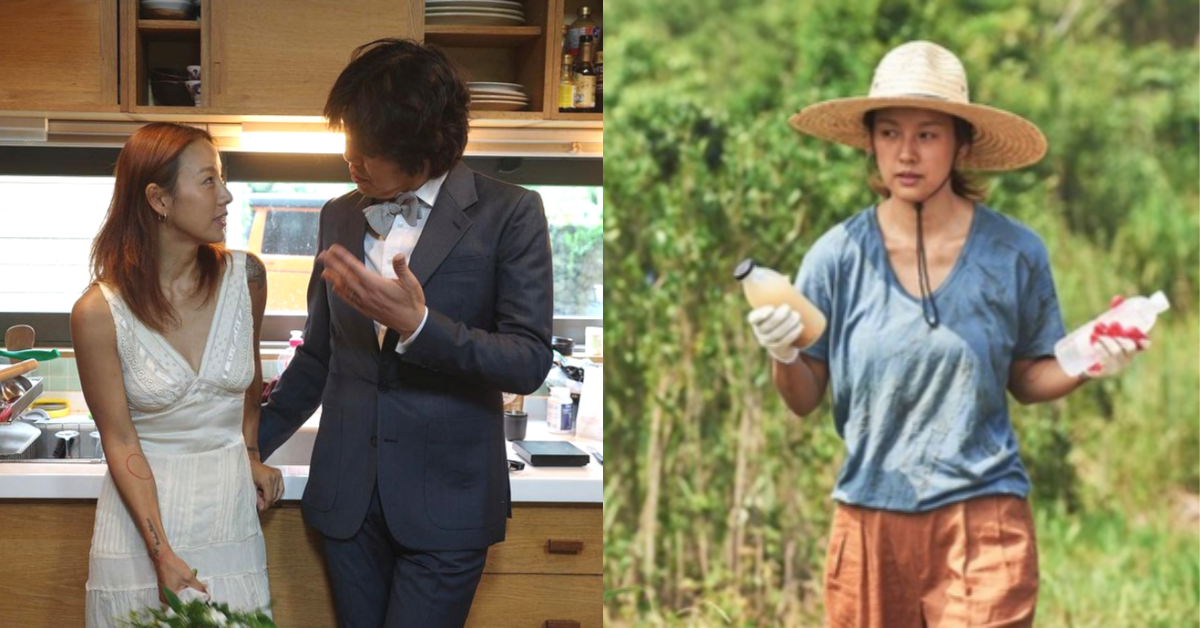 결혼과 동시에 섬생활 시작했던 이효리가 제주로 내려간 진짜 이유는 너무 솔직해서 눈이 번쩍! 뜨인다