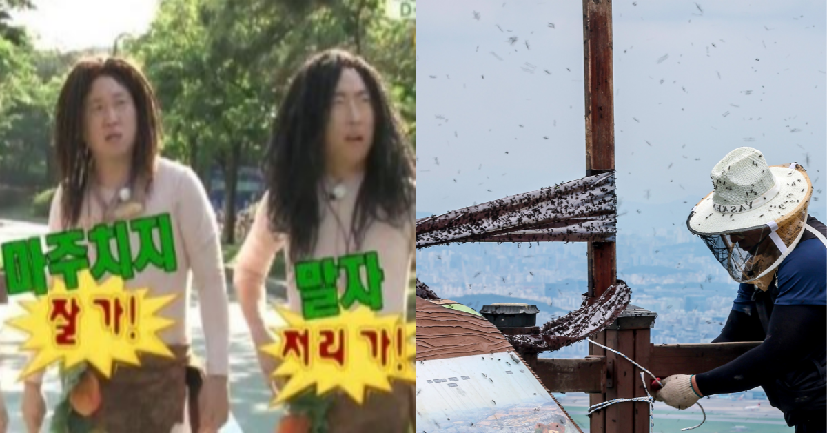 러브버그에게 고한다, 러브버그를 박멸 중인 모습.&nbsp;ⓒMBC ‘무한도전’ / 뉴스1