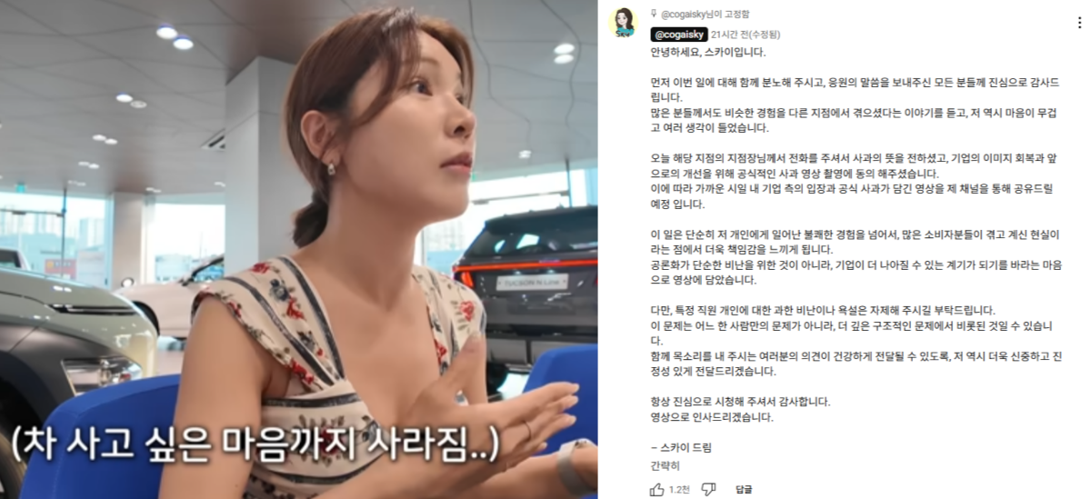 영상에 스카이가 남긴 댓글. ⓒ유튜브 채널 ‘스카이’