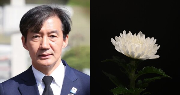 조국 전 조국혁신당 대표(좌), 사진 자료(우). ⓒ뉴스1, 어도비스톡