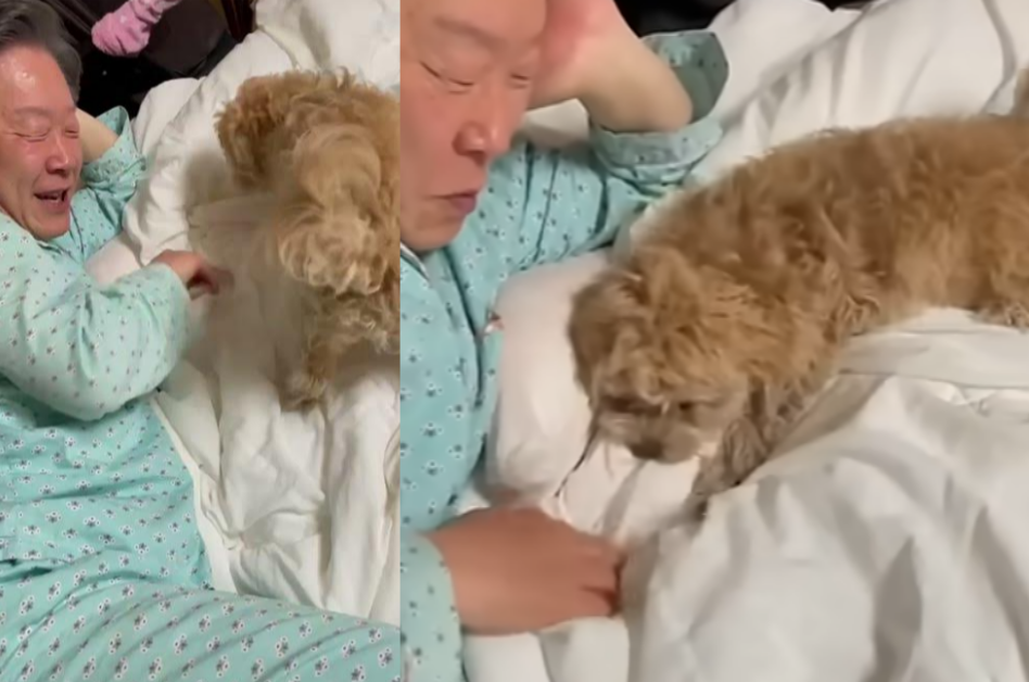 이재명 대통령과 강아지. ⓒ유튜브 채널 ‘이재명’