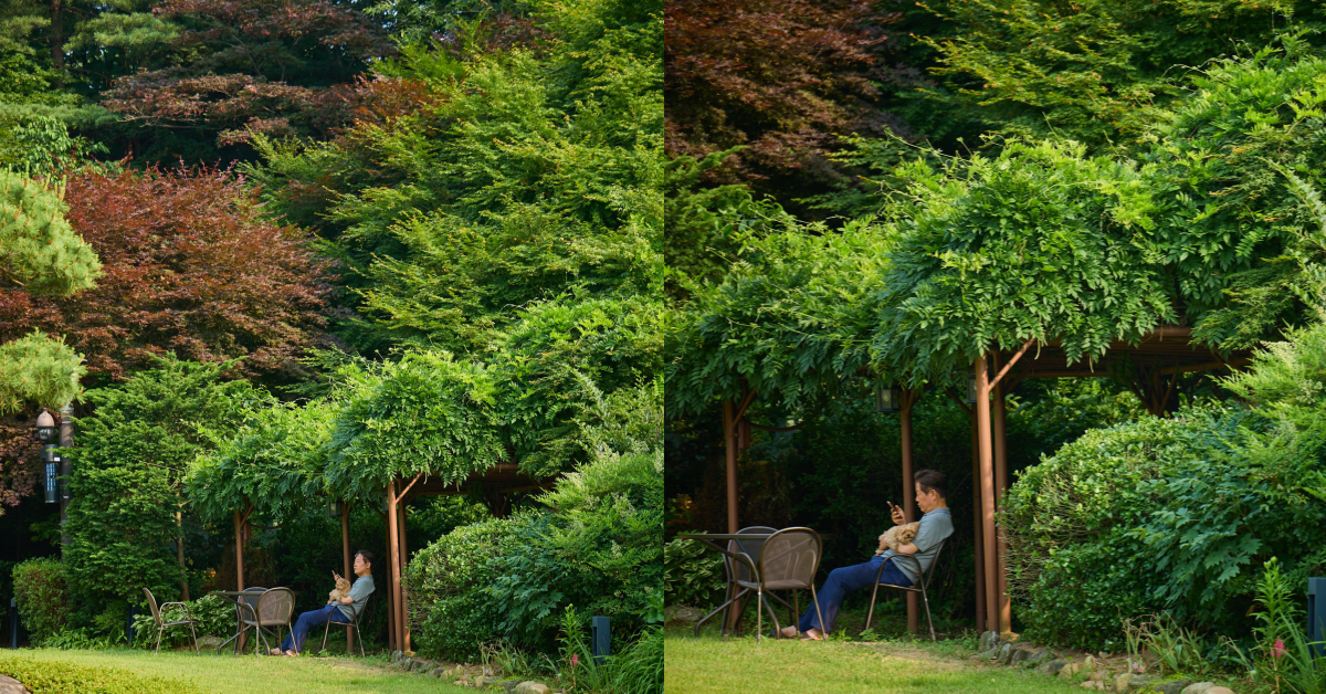 이재명 대통령과 반려견 바비. ⓒ이재명 대통령 X