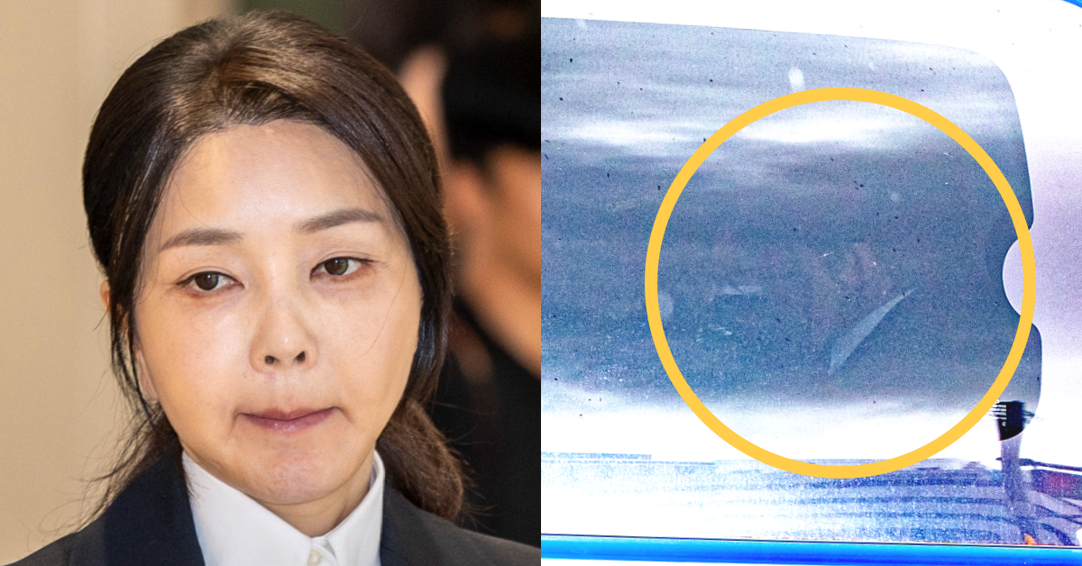수갑 차고 특검 조사 나간 김건희의 오늘자 태도: 어제부터 쫄쫄 굶었다더니 그 정도 공복이면 예민해질 만도 하다