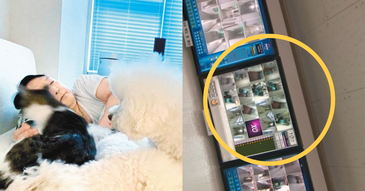 반려견들과 누워있는 윤석열, 서울구치소 CCTV. ⓒ토리 인스타그램 / 유튜브 채널 ‘JTBC News’