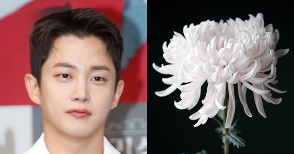 배우 김민석(좌), 사진자료(우). ⓒ뉴스1, 어도비스톡