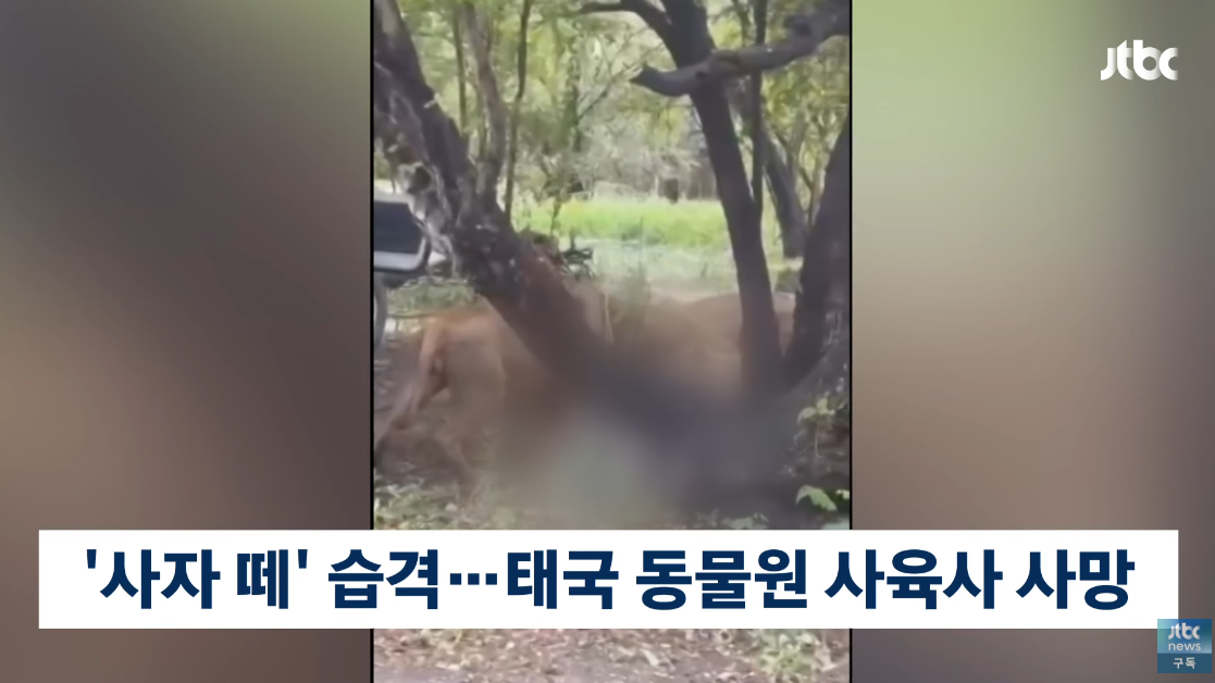 사고가 벌어진 태국 방콕 사파리월드는 임시 폐쇄 상태다. ⓒ유튜브 채널 ‘JTBC News’