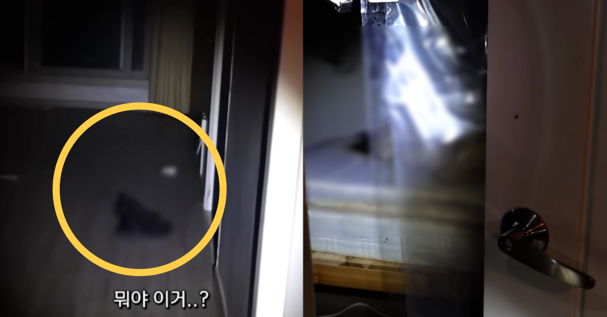 폐가 체험 중 변사체를 발견한 유튜버 도사우치. ⓒ유튜브 채널 ‘도사우치’