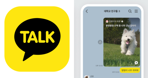 카카오톡. ⓒ어도비스톡/카카오 제공&nbsp;