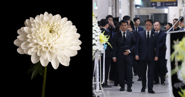 기사 내용과 무관한 꽃 사진, 빈소. ⓒ어도비스톡/뉴스1