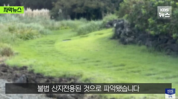 무려 1800여평,,,,,,, ⓒKBS 뉴스