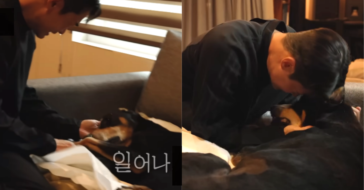 이미 숨을 거둔 벨을 끌어안고 통곡하는 배정남. ⓒSBS ‘미운 우리 새끼’