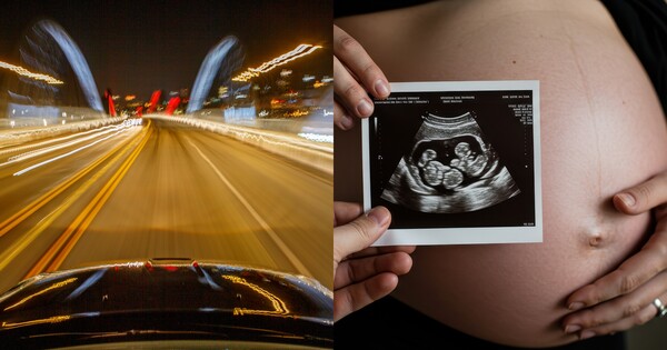 참... ⓒ어도비스톡