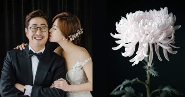 백성문 변호사, 김선영 아나운서, 기사 내용과 무관한 꽃 사진. ⓒ백성문 변호사 SNS/어도비스톡
