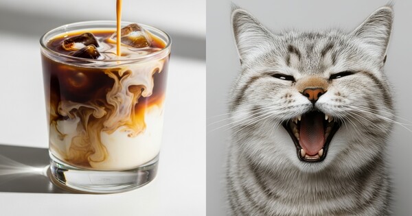 빨리 마셔라옹 ⓒ어도비스톡&nbsp;