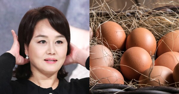 이경실(좌), 사진 자료(우). ⓒ뉴스1, 어도비스톡