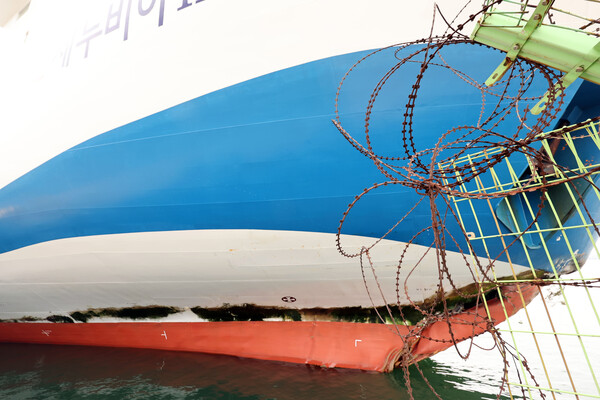 나뭇가지 박힌 좌초된 퀸제누비아2호 사고 부위.&nbsp;ⓒ뉴스1&nbsp;