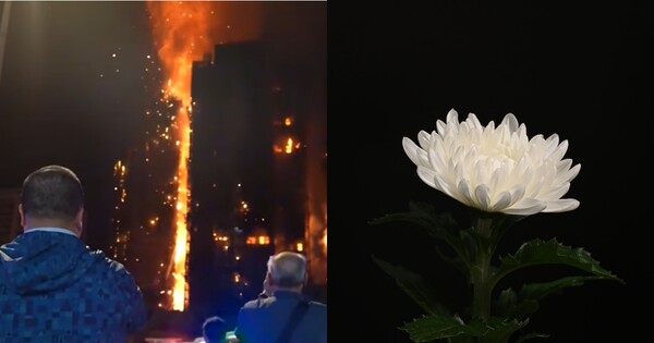 ‘웡 푹 코트’를 바라보는 홍콩 행인들(좌), 사진 자료(우). ⓒSBS, 뉴스1