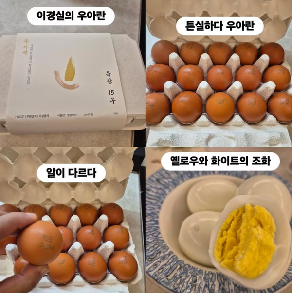 조혜련이 올린 우아란. ⓒSNS