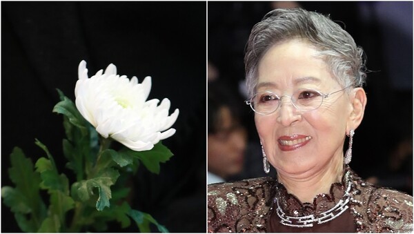 “저혈압 쇼크…” 미국서 비보 전해진 원로배우 故 김지미 : 한 시대를 대표한 영화계 큰 별이 졌다
