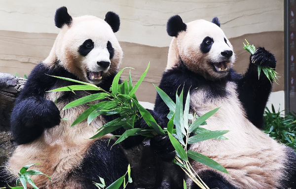 사진 자료. ⓒ연합뉴스