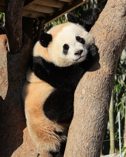 사진 자료. ⓒ연합뉴스