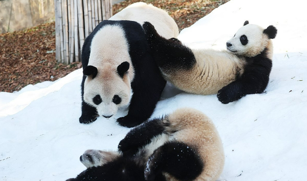 사진 자료. ⓒ연합뉴스