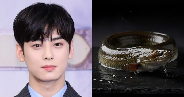 배우 차은우(왼쪽), AI로 제작한 기사 이해를 돕기 위한 이미지. ⓒ연합뉴스, 허프포스트코리아