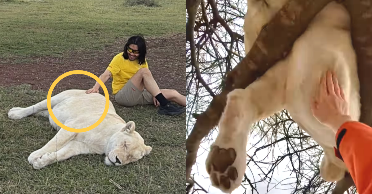 노홍철 인스타 속 “어디까지 추악해질 수 있나” 탄식 터지게 한 충격적인 폭로 : ‘잠자는 사자’ 진실에 혈압이 튄다