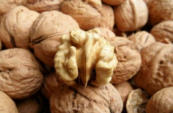 호두. ⓒ연합뉴스