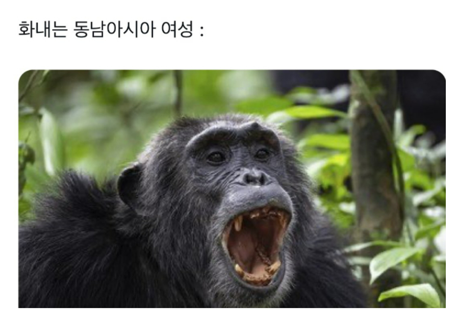 [허프생각] 동남아 팬과 한국 팬의 'K팝 마찰'이 더욱 위험한 이유 : 이제 'K시민'으로 가자