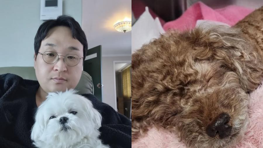 꽃분이 떠나 보낸 구성환이 이주승 반려견을 향한 그리움을 전했다 : 코코야 그곳에서...