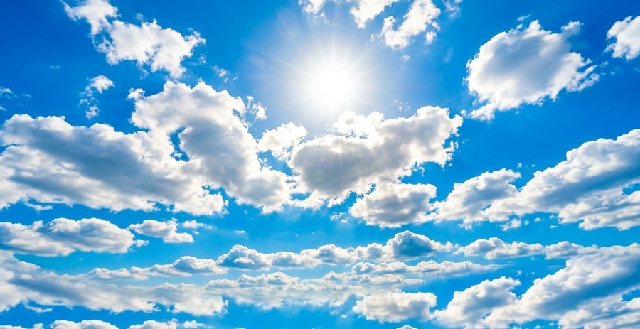 다가오는 여름, 내리쬐는 햇볕과 빠지는 머리카락의 상관관계 : 필수 용품과 대처법, 예방습관