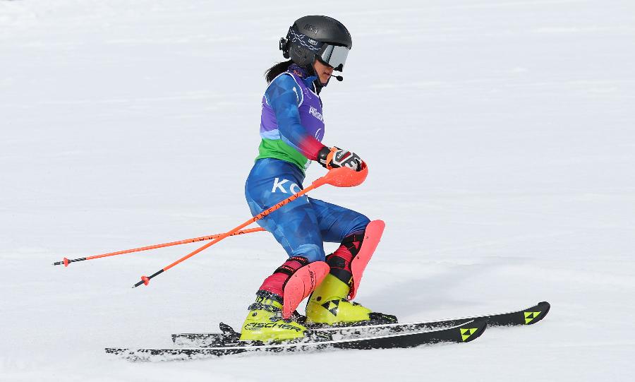 2026 동계 패럴림픽 한국 역대 최고 성적 : 차가운 얼음 위 뜨거운 투혼으로 쓴 태극 영웅들의 새 역사