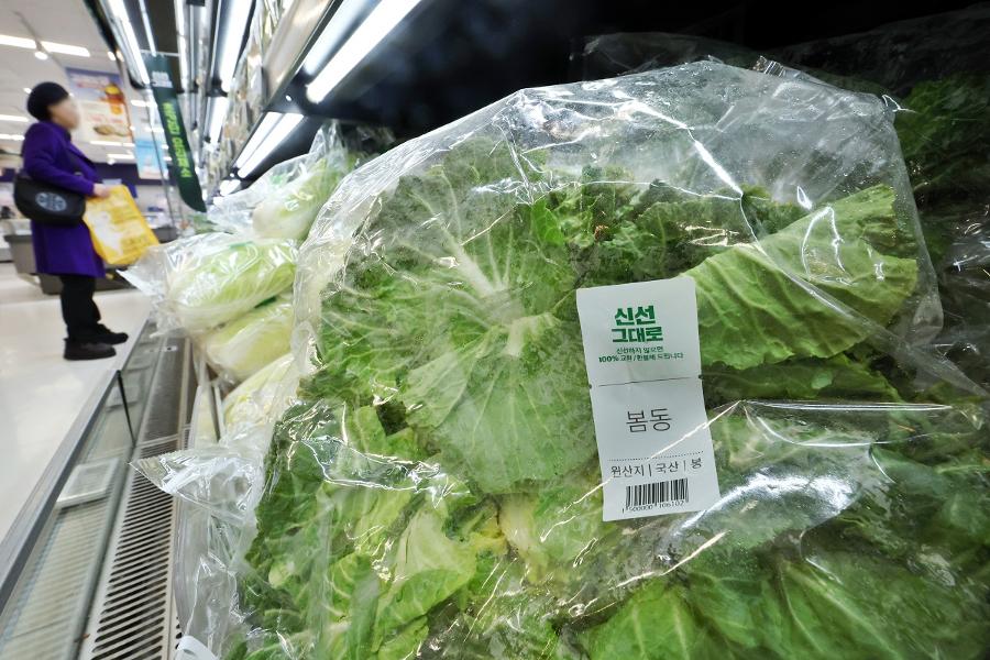 18년 전 '1박2일' 강호동이 먹은 봄동 비빔밥의 정체 : 사실 봄동 아니었다&nbsp;