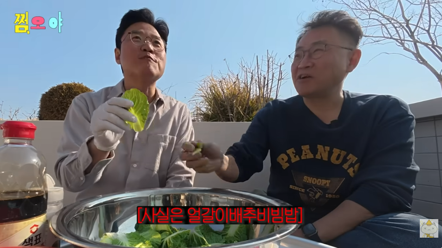 18년 전 '1박2일' 강호동이 먹은 봄동 비빔밥의 정체 : 사실 봄동 아니었다&nbsp;