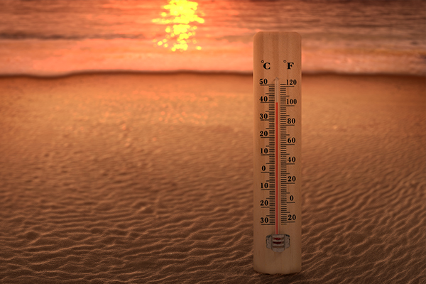 [영상] 세계기상기구가 최악의 기후 성적표를 내놨다,  대기 중 이산화탄소 농도 80만 년 만에 최고치