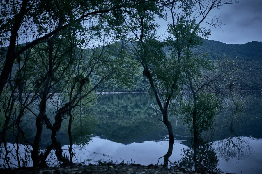 영화 ‘만약에 우리’ ‘왕사남’ 이어 ‘살목지’도 흥행가도 : 3연속 홈런 친 쇼박스의 이유 있는 작품 선정