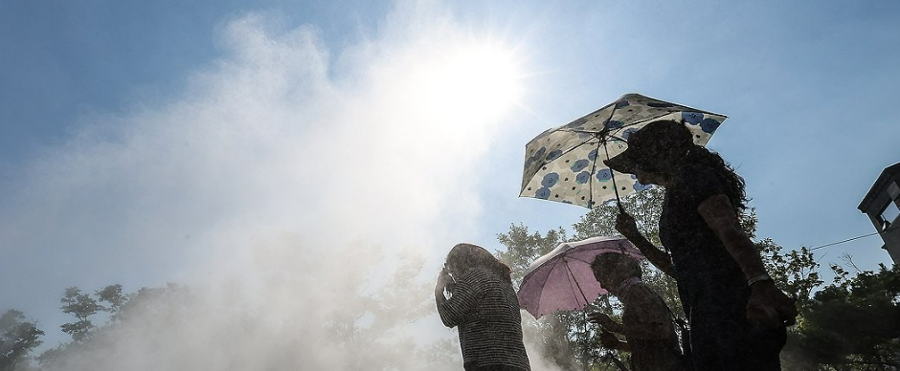 꽃놀이 며칠 지나 갑자기 여름? : 이번 주 최고기온 숫자만 봐도 땀방울이 맺힌다