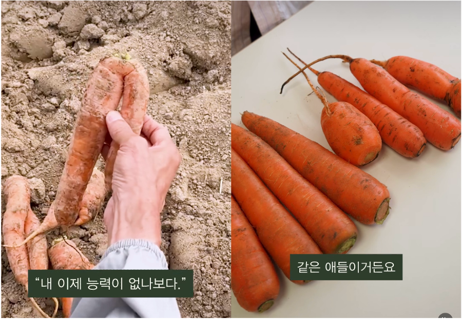 [허프 트렌드] 이란전쟁 여파 '3고 시대', 얇아진 내 지갑 지키는 MZ의 '슬기로운 소비 생활'