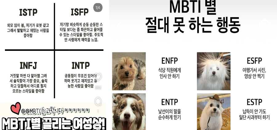 [허프 생각] 챗GPT로 사주 봐드립니다 : 왜 우리는 사주·MBTI 같은 걸로 서로를 끊임없이 유형화할까