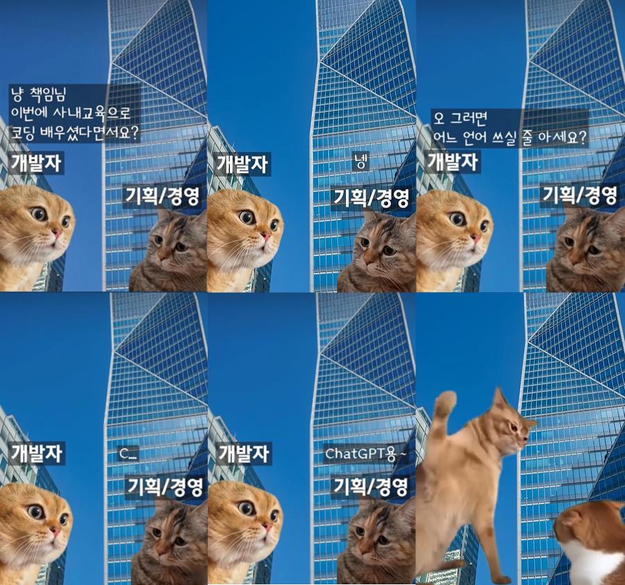 논란의 페리카나 '불륜 희화화 광고' 원본은 유명 SNS 쇼츠 : 밈(Meme) 패러디의 성공과 실패