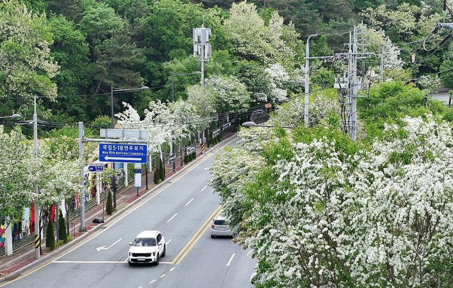 소년이 온다, 옛 전남도청이 열린다 : 5월의 광주를 기억하는 여러 방법