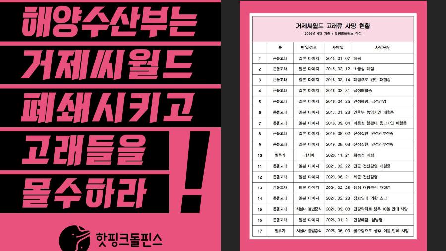 거제씨월드에서 태어난 지 사흘 만에 숨진 새끼 벨루가 : 동물권단체는 이미 17번째 죽음을 예견했다